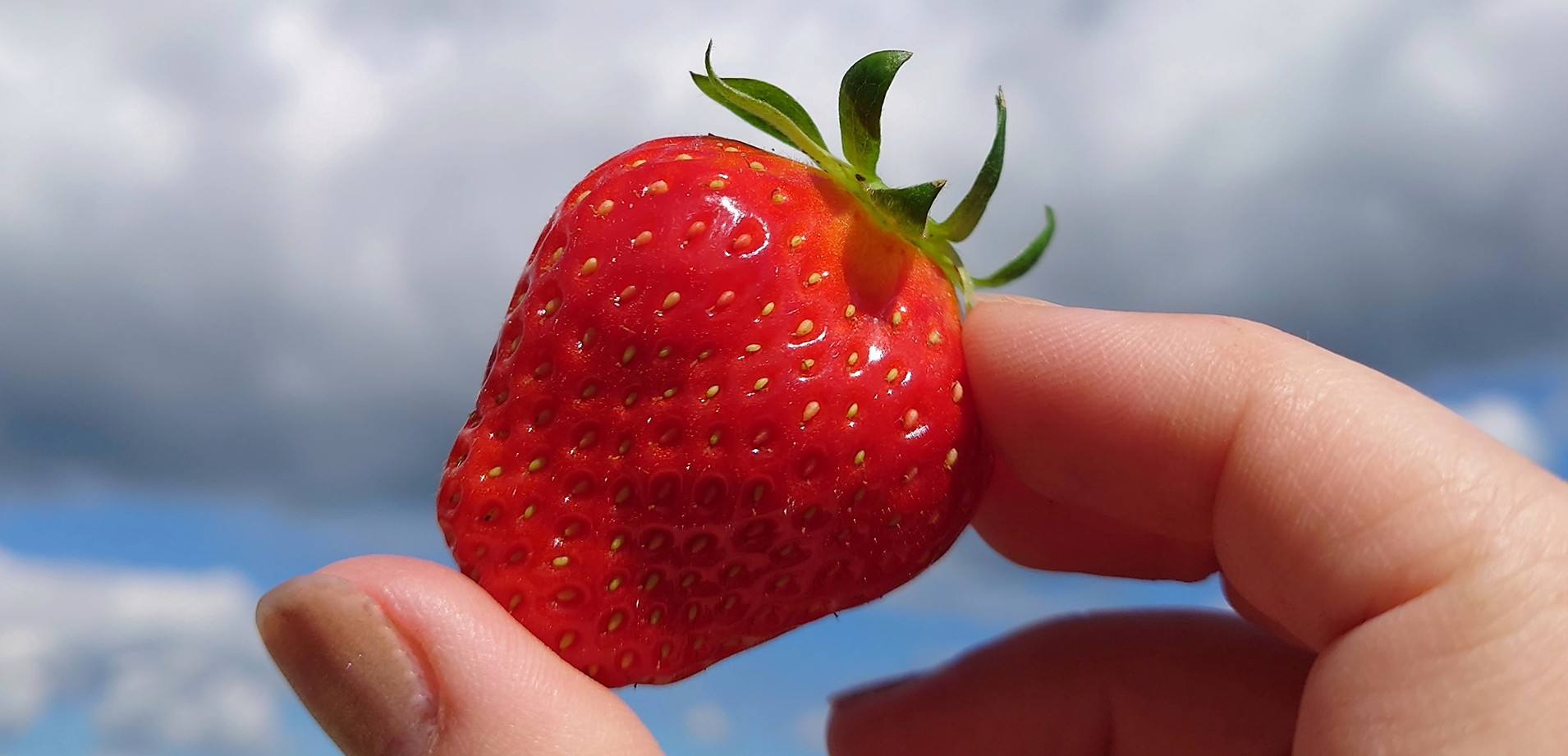 Kitsbölen Kotitilalla ennakointi on avainasemassa